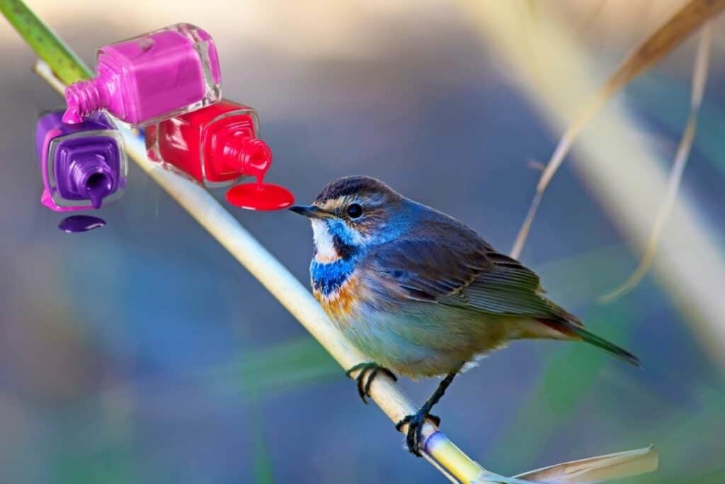 Are Nail Polish Fumes Harmful To Birds? Let's Find Out!